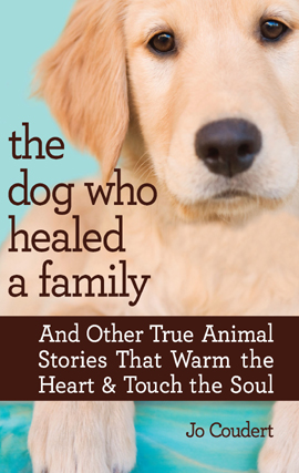Title details for The Dog Who Healed a Family by Jo Coudert - Available